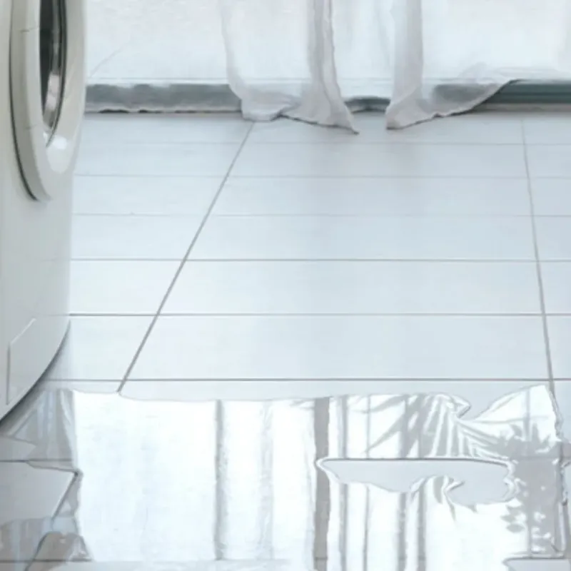 Appliance Leak Cleanup in Fountain County, IN