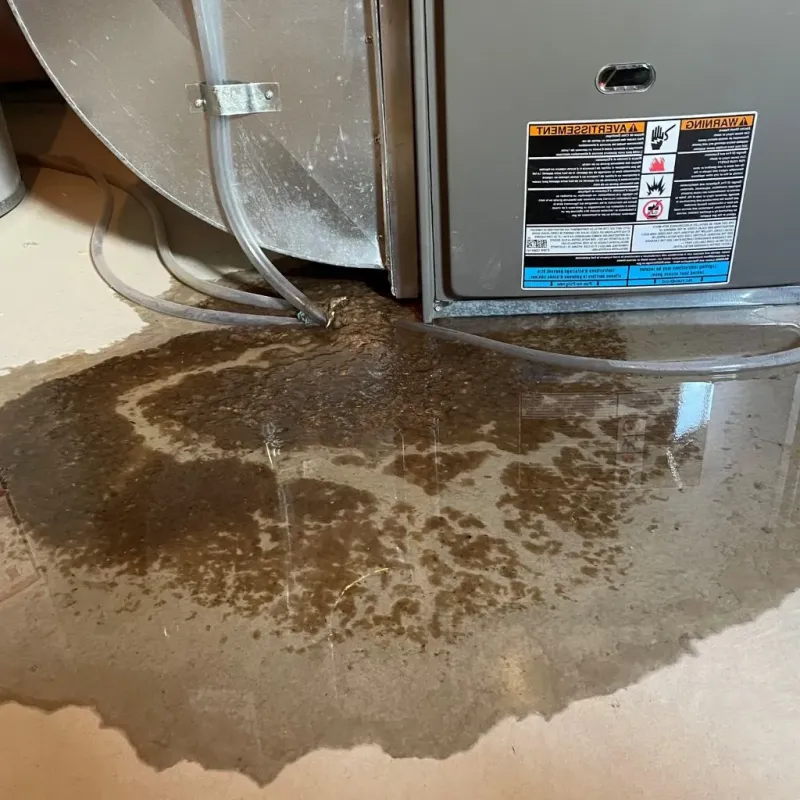 Pipe Burst and Leak Restoration in Fountain County, IN