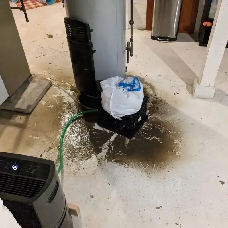 Sewage Backup Cleanup Service in Fountain County, IN